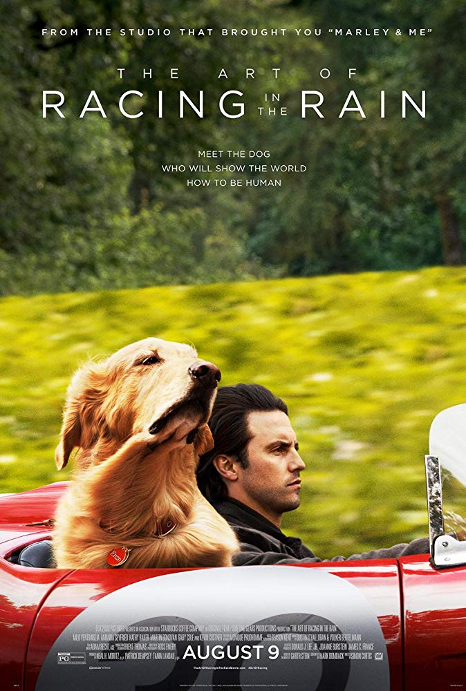 download the art of racing in the rain hollywood movie