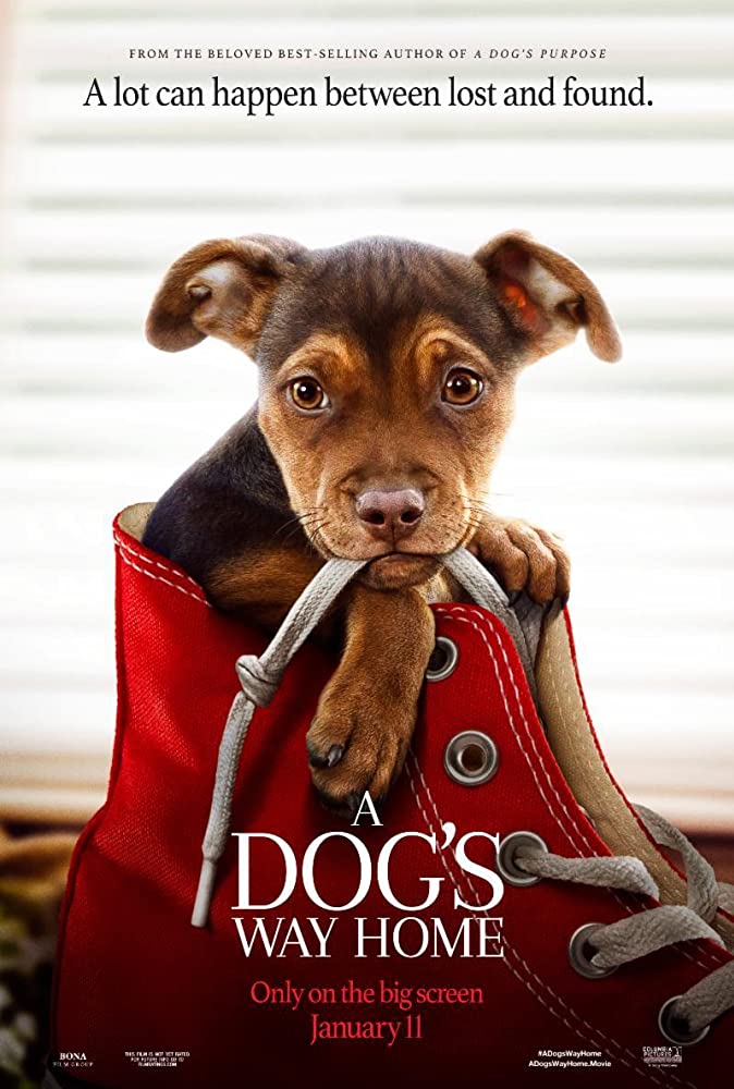 download a dogs way home movie