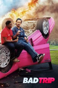 download bad trip hollywood movie