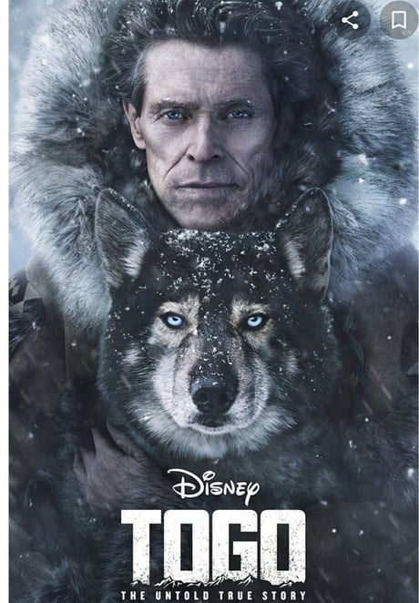 download togo hollywood movie