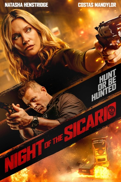 download night of the sicario hollywood movie