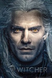 Read more about the article The Witcher S01 (Complete) | TV Series