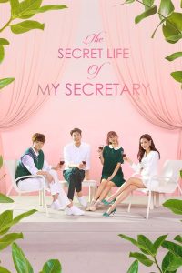 Read more about the article The Secret Life of My Secretary (Complete) | Korean Drama