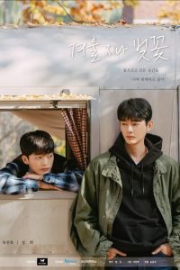 download cherry blossoms after winter korean drama