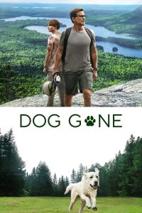 download dog gone hollywood movie