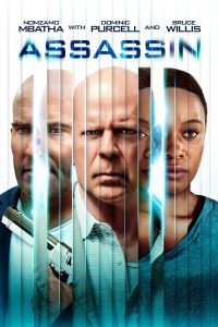 download assassin hollywood movie