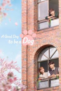 download a good day to be a dog korean drama
