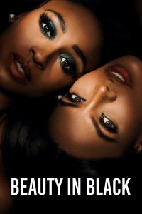 download beauty in black hollywood series