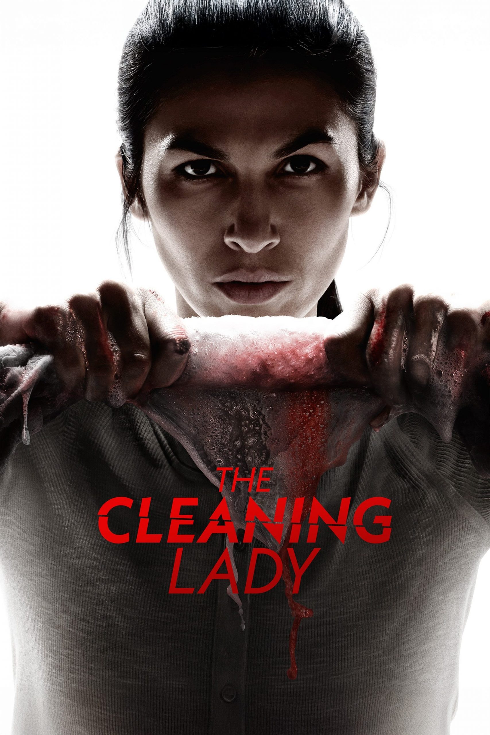 Read more about the article The Cleaning Lady S04 (Episode 11 & 12 Added) | TV Series