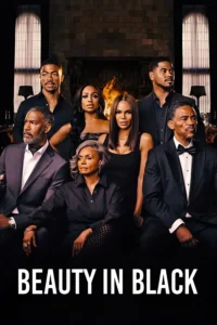 download beauty in black tv series